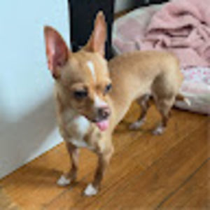 Meet your Posher, Nichole